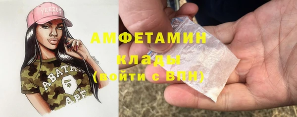 PSILOCYBIN Алзамай