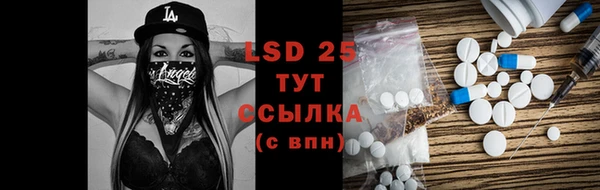 PSILOCYBIN Алзамай