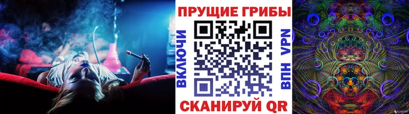 где купить   Костерёво  мега ссылки  Псилоцибиновые грибы мицелий 